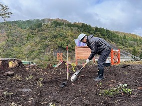 植樹の様子