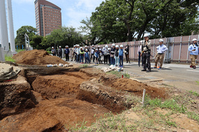 遺跡調査の見学